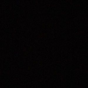 Meet your Posher, Maddison